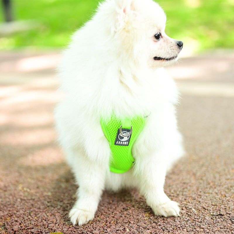 Cat leash, cat rope, cat walking rope, anti-breakaway cat chain, dog leash, small dog supplies chest harness