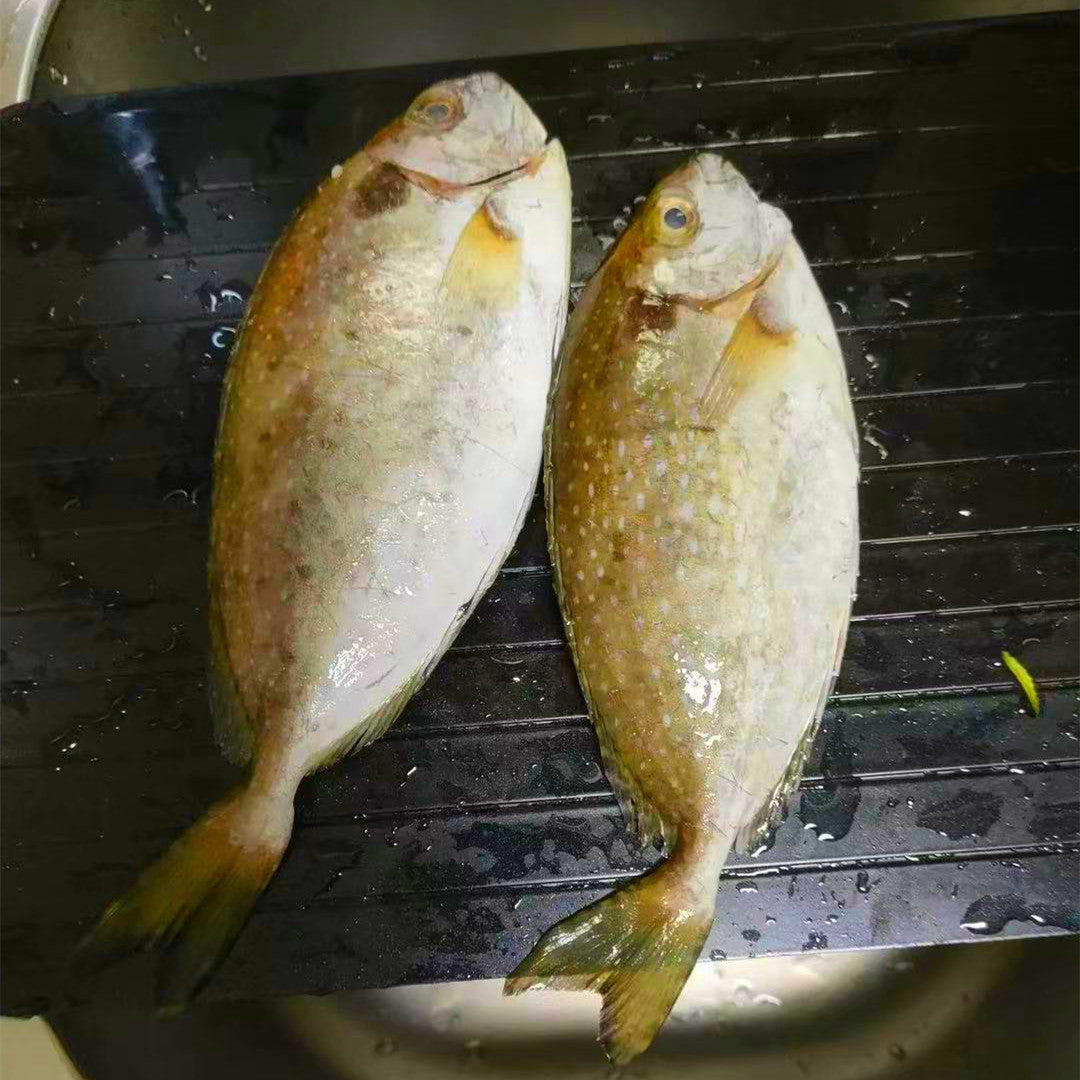 Thawing plate food quick thawing plate household steak seafood thawing plate aluminum cutting chopping board meat kitchen