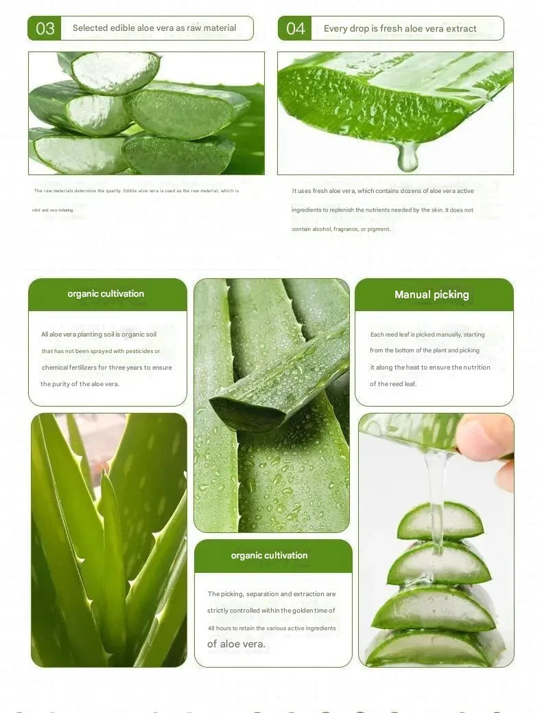 HOLIKA Natural Aloe Vera Gel 250ml South Korea Imported 55ml After-sun Soothing Mask Skin Care